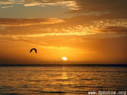 One of my favorite sunsets from Dominica by Zaid Fadul 
